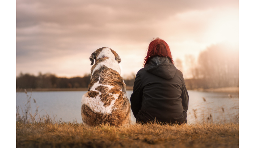The Heartwarming Benefits of Emotional Support Animals