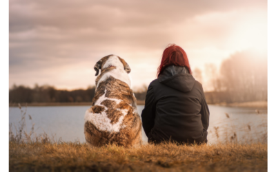 The Heartwarming Benefits of Emotional Support Animals