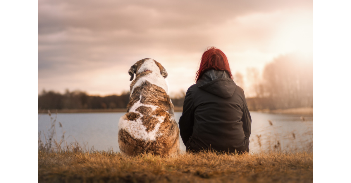 emotional support animal